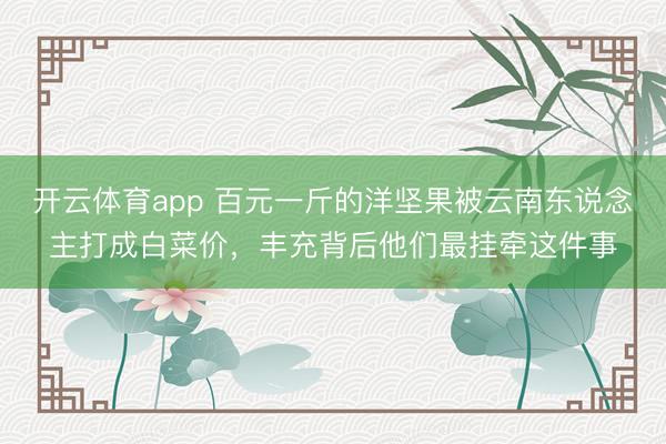 开云体育app 百元一斤的洋坚果被云南东说念主打成白菜价，丰充背后他们最挂牵这件事