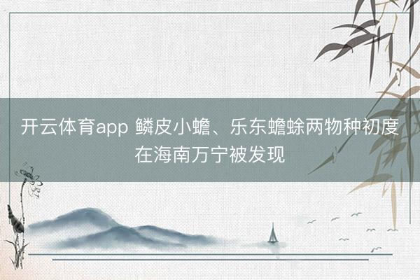 开云体育app 鳞皮小蟾、乐东蟾蜍两物种初度在海南万宁被发现