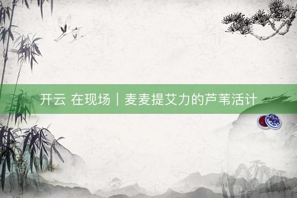 开云 在现场｜麦麦提艾力的芦苇活计